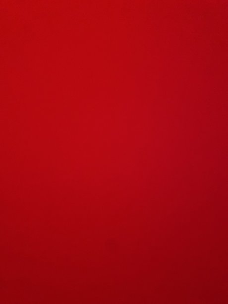 Lil Ally nudes leaked onlyfans