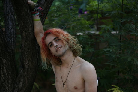 naughty on wheels free only fans