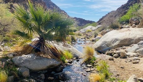 Oasis_ onlyfans leaked photos