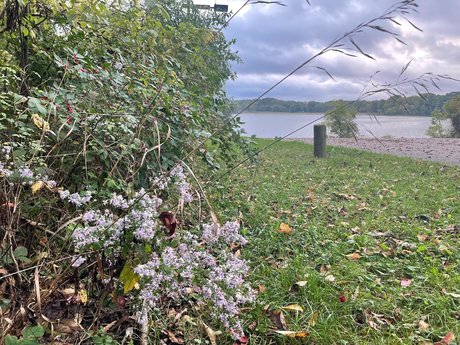 N A T U R E B A B E S onlyfans archive