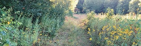 N A T U R E B A B E S onlyfans leak nude