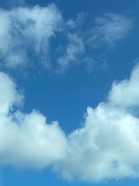 Cassandra Tapia onlyfans nudes