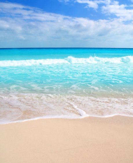 Cecii only fans leaks