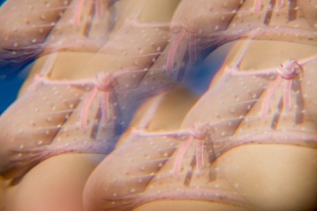 Dafne Fairy onlyfans sextape leak