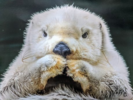 Bombtastic onlyfans leak nudes