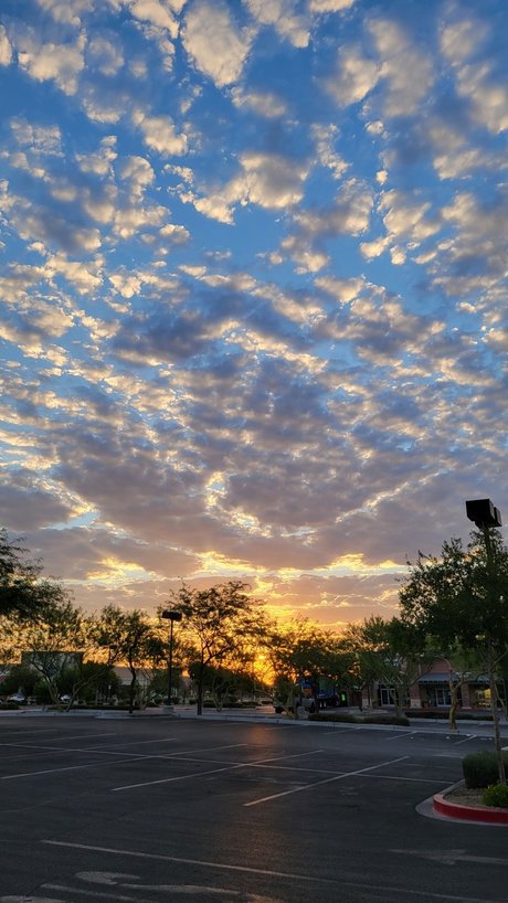 Nerdy Eye Candy nudes only fans