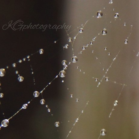 Necrotic Love only fans pics