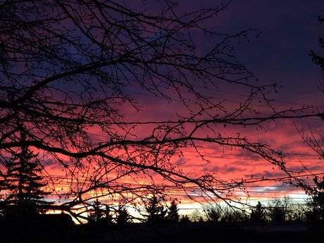 Alice s Wonderland_ onlyfans post