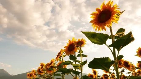 Nichole Clark leaked onlyfans naked