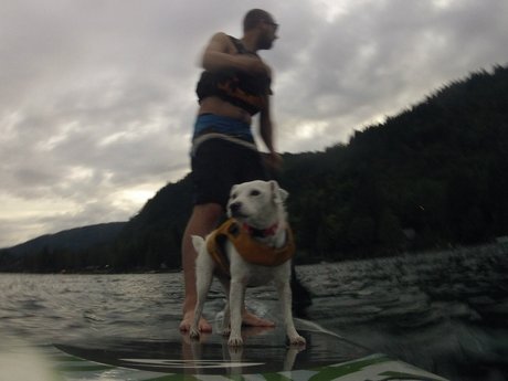 Auston O lapas porn onlyfans leak