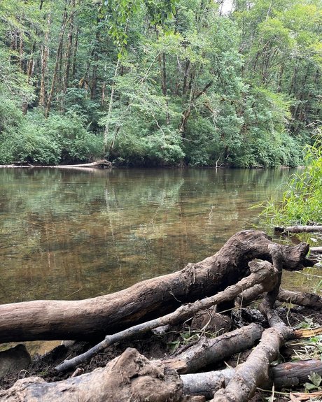 cum area onlyfans strip tease