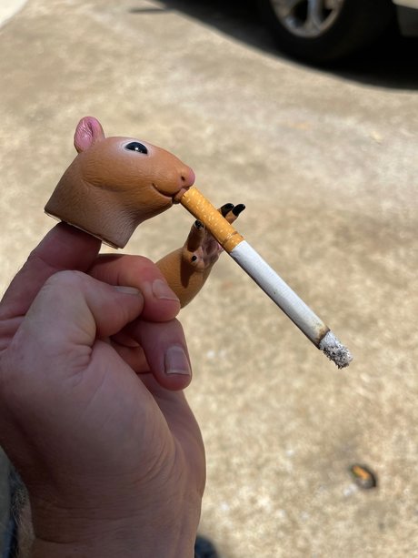 NightOwl xxx only fans