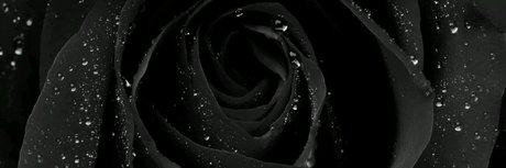 Ni as in Paris onlyfans leak sex