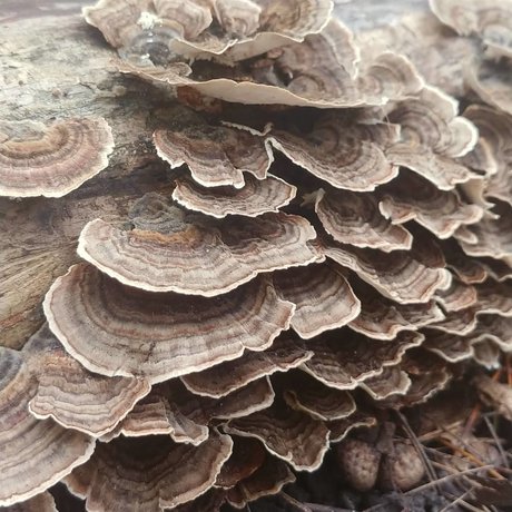 Joanna Banana nude leak onlyfans