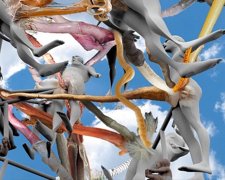 Noam Youngrak Son onlyfans model photos