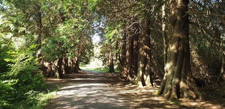 Dick Daily nudes onlyfans leaks