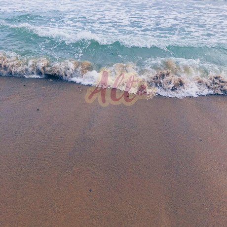 alta only fans pictures