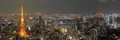 nintendopandax onlyfans leaks