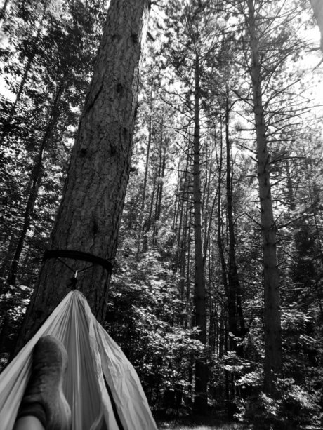 Nikki Starz porn onlyfans