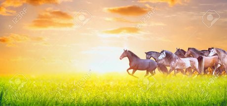 BabesWhoEat onlyfans nide