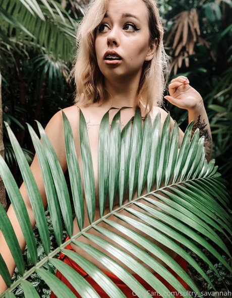 waverlyluxe Profile pic