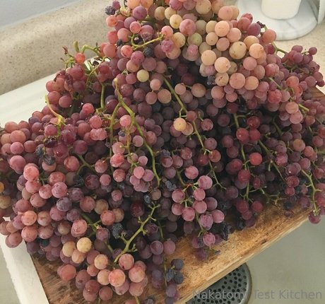 kellynakatomi porn onlyfans