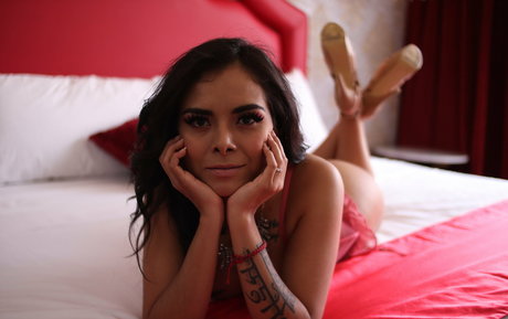 paularamosmx Profile pic