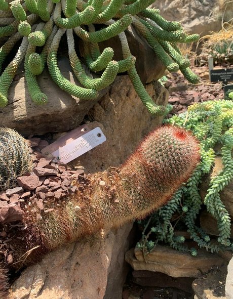 margotdeveraux onlyfans leaked