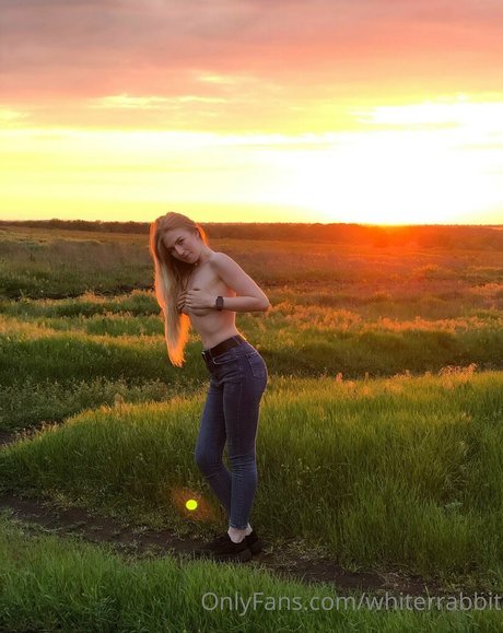 whiterrabbit onlyfans porn