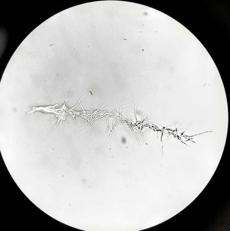 freesexypsychedelic onlyfans leaked pictures