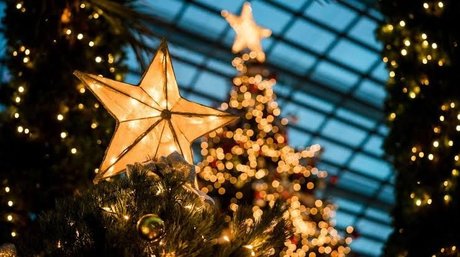 TupincheDiosa only fans nudes