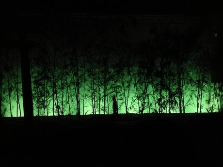 Asian dork porn onlyfans