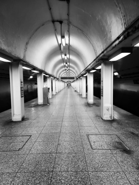 Armand William onlyfans leaked