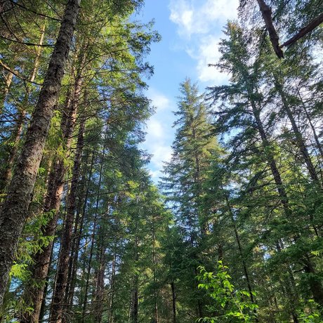 Armand William only fans leak porn