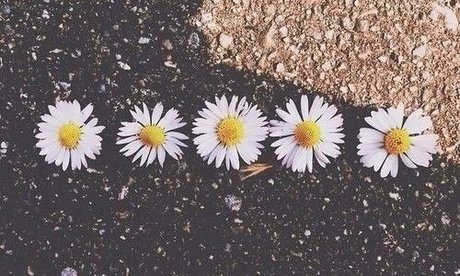 Arisaly Ortiz nudes only fans