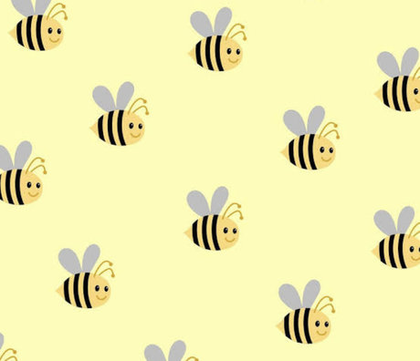 North Diamond only fans review