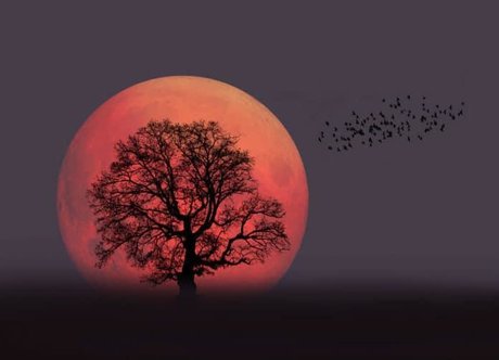 Your Favourite Pagan onlyfans exposed