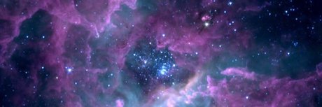 Charlie Nolan xxx only fans