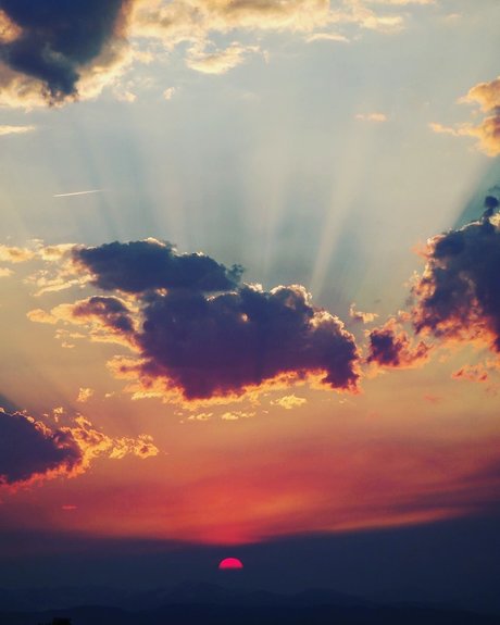 NO FACE NO TRACE onlyfans archives