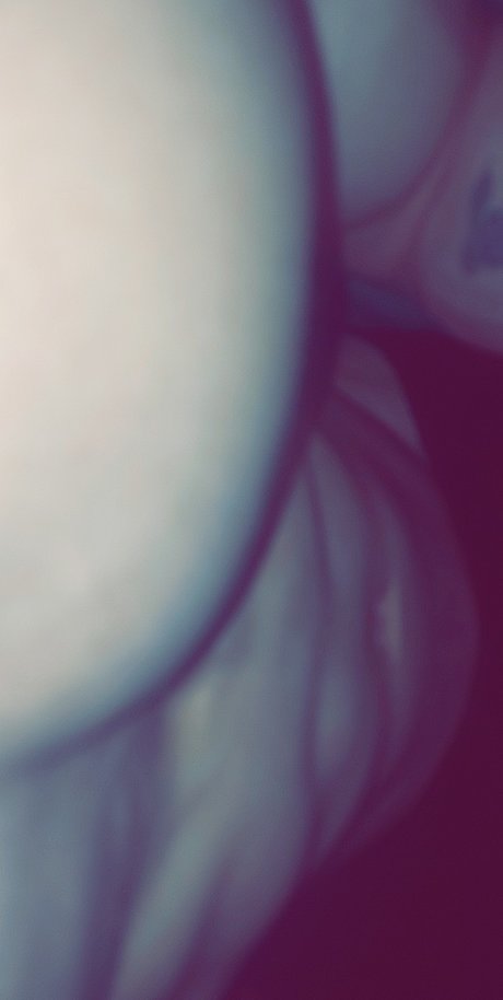 Alex Ban onlyfans picture