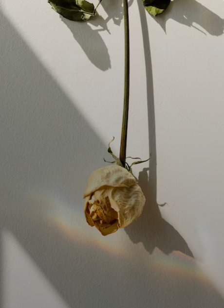 _Ally s Feet onlyfans ass