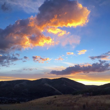 Alexander Mecum onlyfans tits