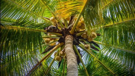 Eros Mezzanotte leaked only fans porn