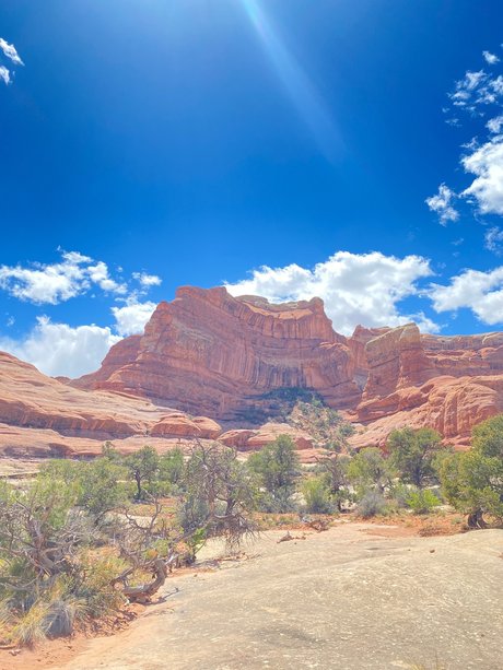 Adventure Soles nude only fans