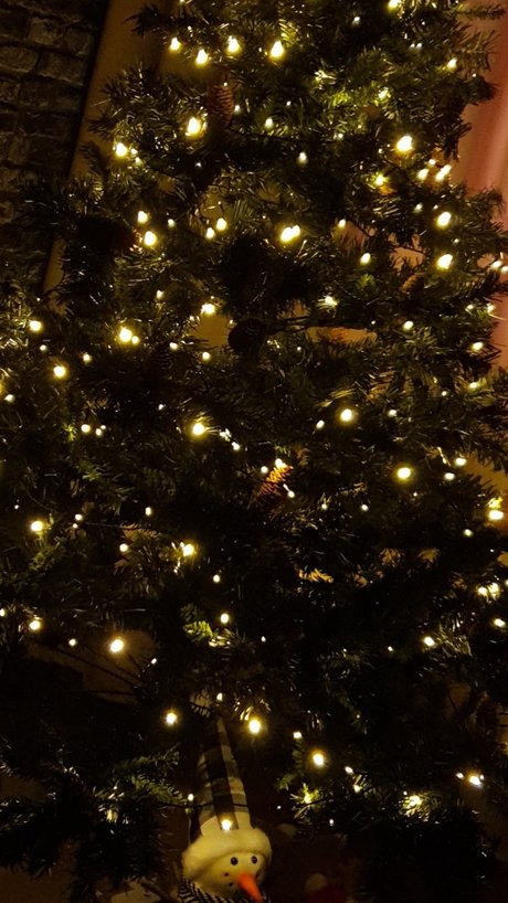 Alexandr Zolotov onlyfans ass