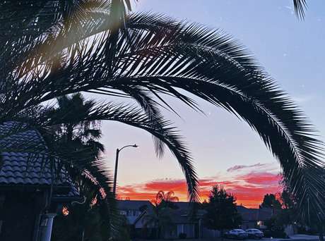 Newdsconnoisseurs onlyfans model photo