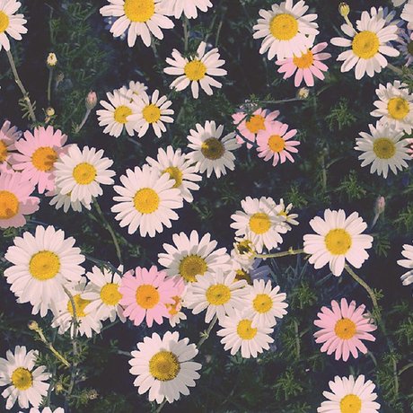 Ally Aimes_ nude leaked onlyfans