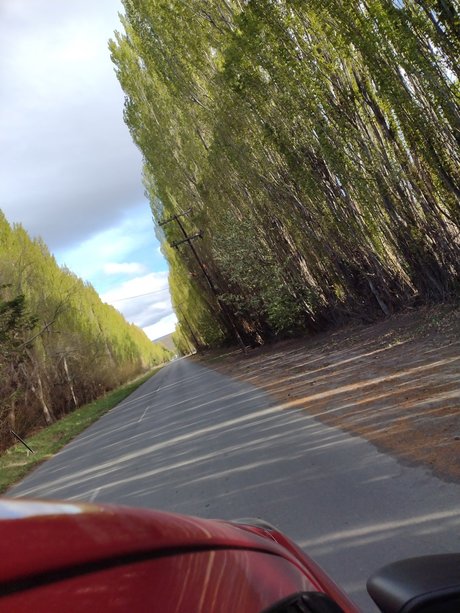 Catarsis leak onlyfans nude