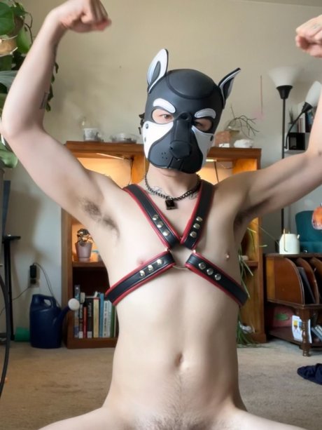 Just a Puppy onlyfans leaks