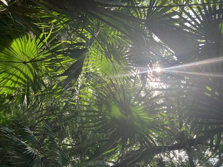 Ocher X nudes onlyfans